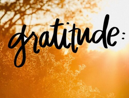 Why gratitude? 