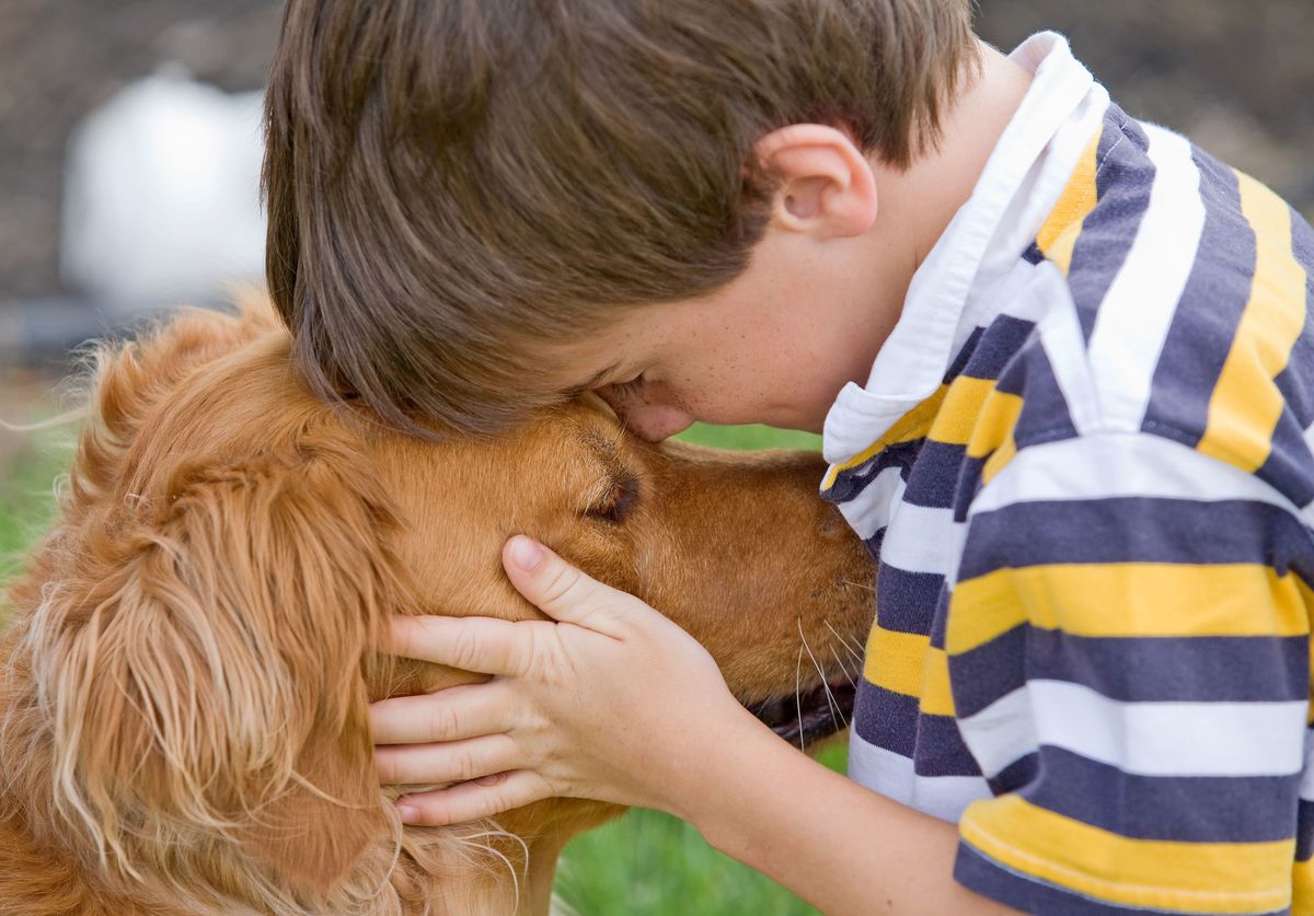 The importance of therapy animals — and pets in general — to healing and  connection - Georgetown Psychology