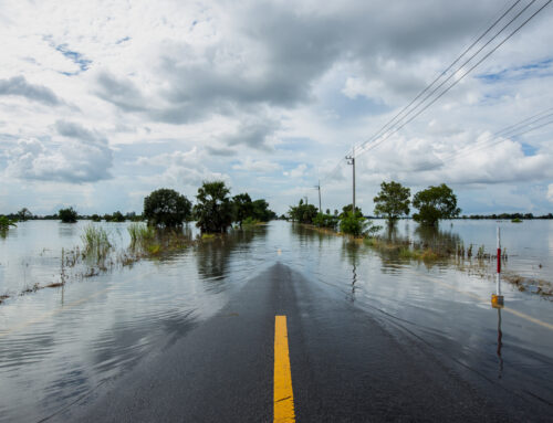 Weathering the Storm: Emotional Healing After Natural Disasters