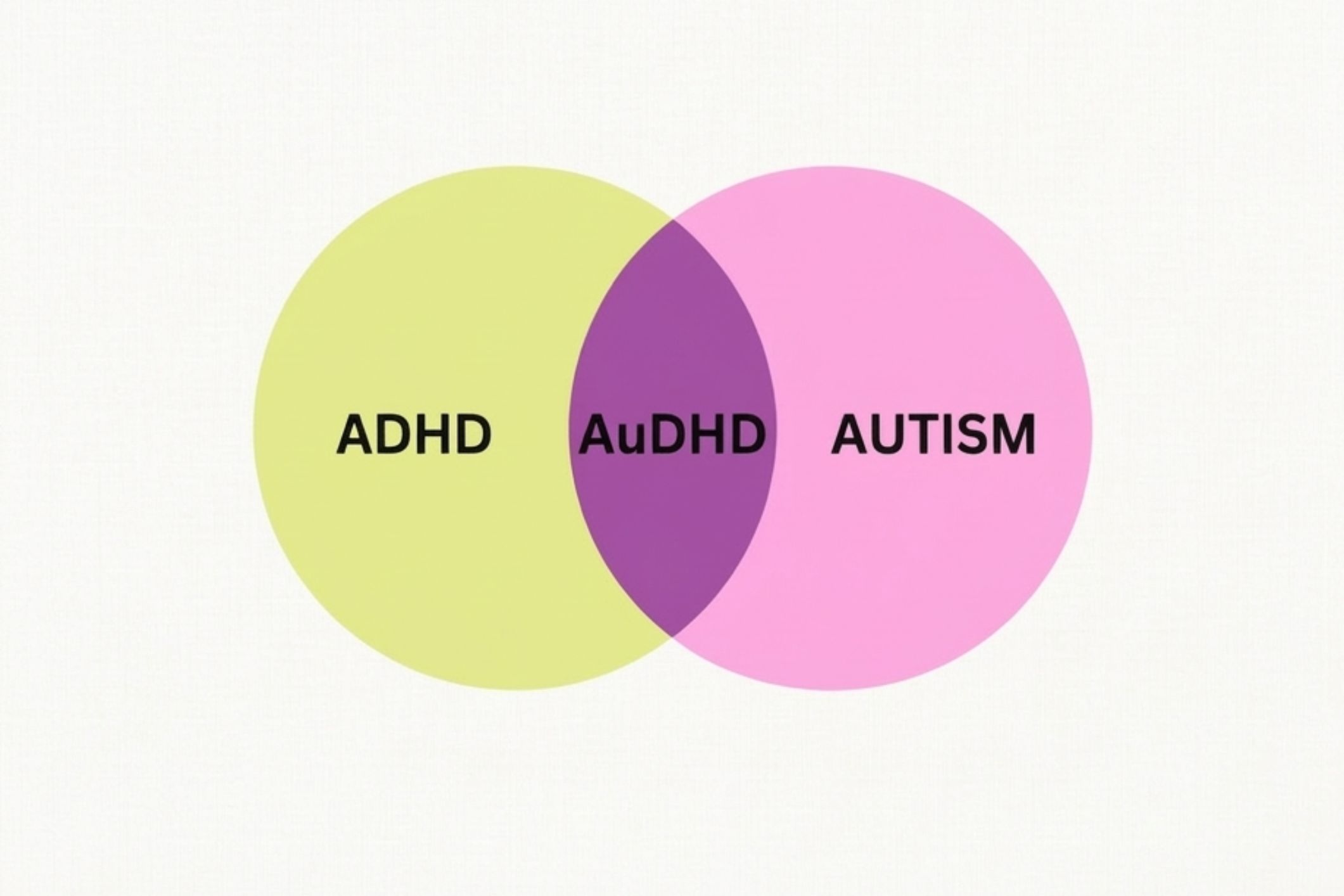 What Is AuDHD? Understanding Both Autism & ADHD